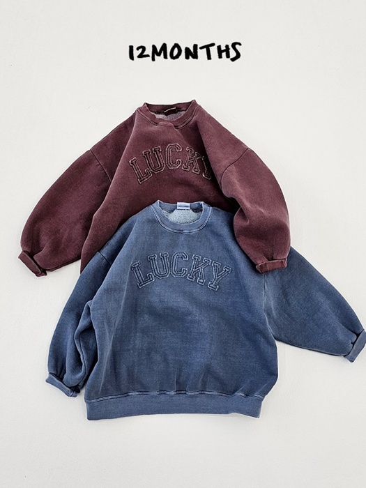 Lucky Pigment Sweatshirt (Adult)