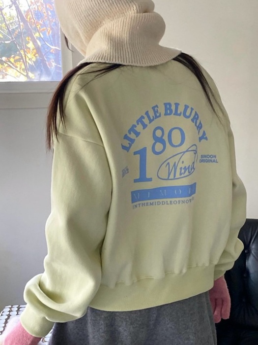 Little Sweatshirt