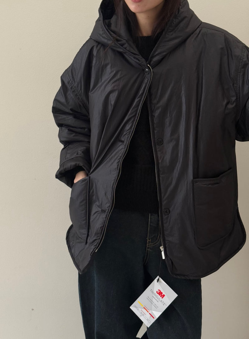 Amygrace - Korean Women Fashion - #momslook - 3M Hood Padding Jacket - 8