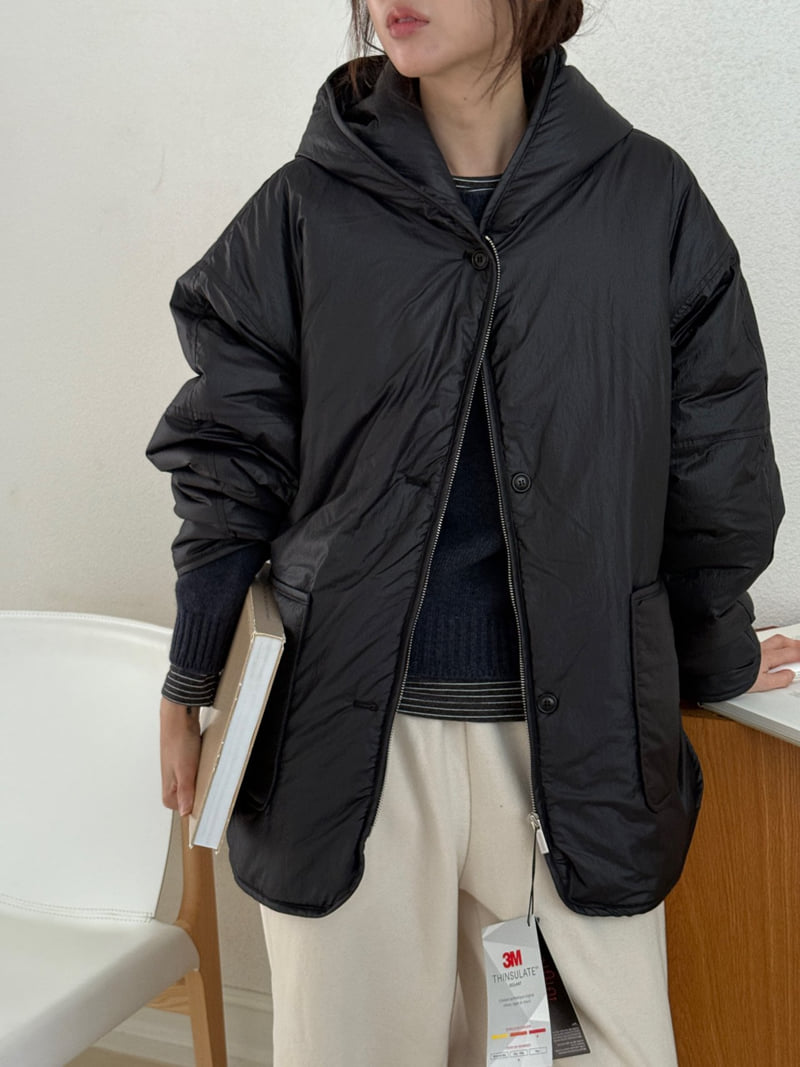 Amygrace - Korean Women Fashion - #womensfashion - 3M Hood Padding Jacket - 2