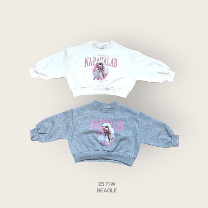 Beagle - Korean Children Fashion - #kidsshorts - Rabbit Crop Sweatshirt - 2