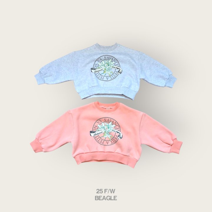 Beagle - Korean Children Fashion - #kidsstore - Flower Crop Sweatshirt - 2