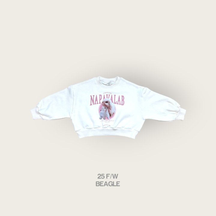 Beagle - Korean Children Fashion - #kidsstore - Rabbit Crop Sweatshirt - 4