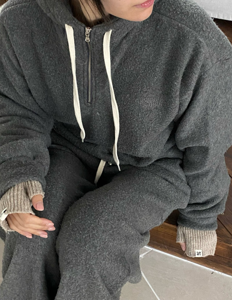 Diana - Korean Women Fashion - #womensfashion - Fox Half-Zip Hoodie - 12