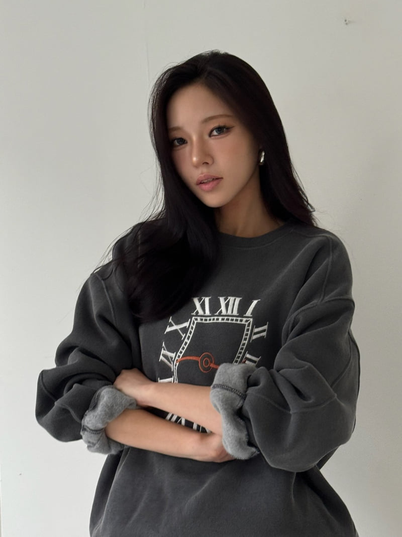 Neroli36 - Korean Women Fashion - #thelittlethings - Heavy Embroidery Brushed Sweatshirt - 8