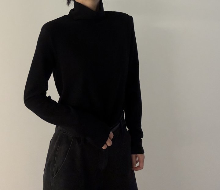 Ripple - Korean Women Fashion - #womensfashion - Canoe Turtleneck Tee - 8