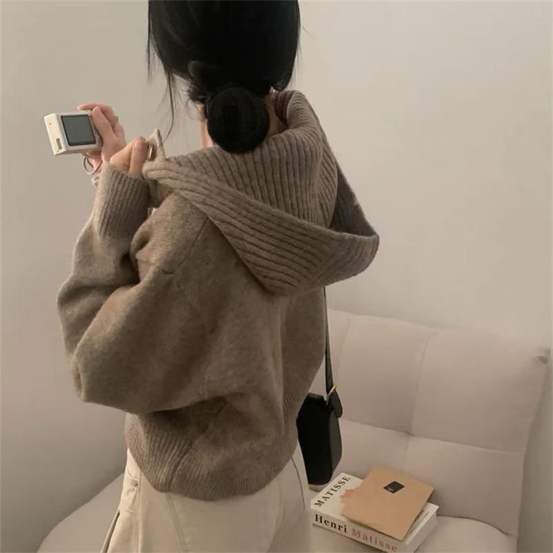 There By - Korean Women Fashion - #womensfashion - Roselle Hood Knit - 3