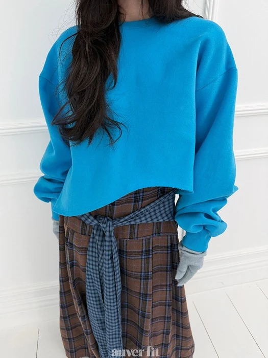 Wave Crop Sweatshirt Wave Crop Sweatshirt