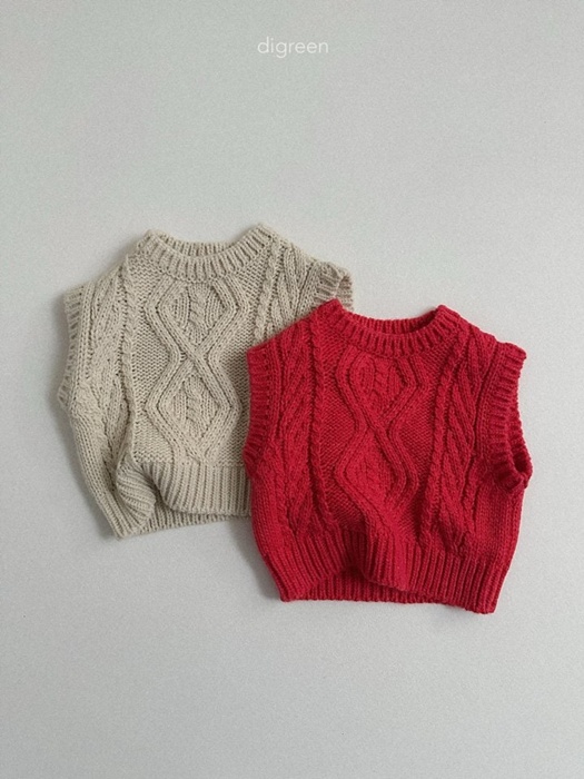 Warm Bird Vest