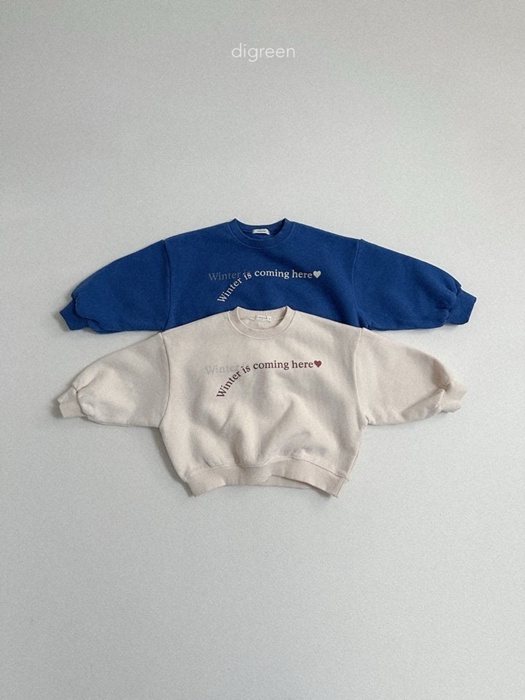 Winter Sweatshirt