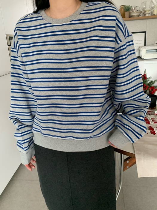 Double Fleece Stripe Sweatshirt