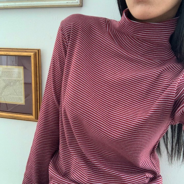 Cover - Korean Women Fashion - #womensfashion - Stripe Warmer Turtleneck - 6