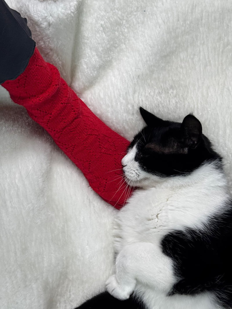Eeiitt - Korean Women Fashion - #womensfashion - Cashmere Argyle Punching Socks Wool Knit Socks - 7