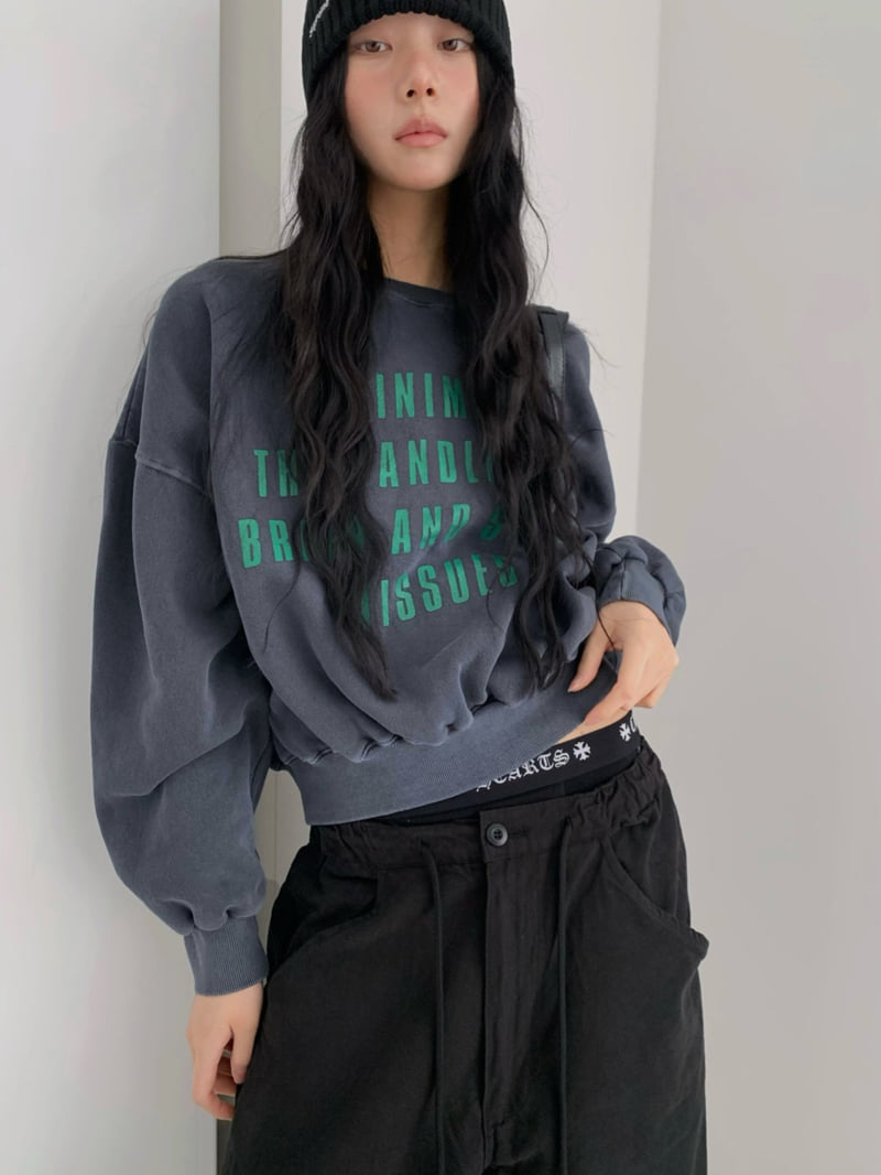 Gavara Market - Korean Women Fashion - #momslook - Miniz Pig Sweatshirt - 5