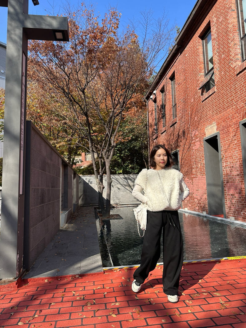 Have - Korean Women Fashion - #momslook - Dew Wool Vest - 6