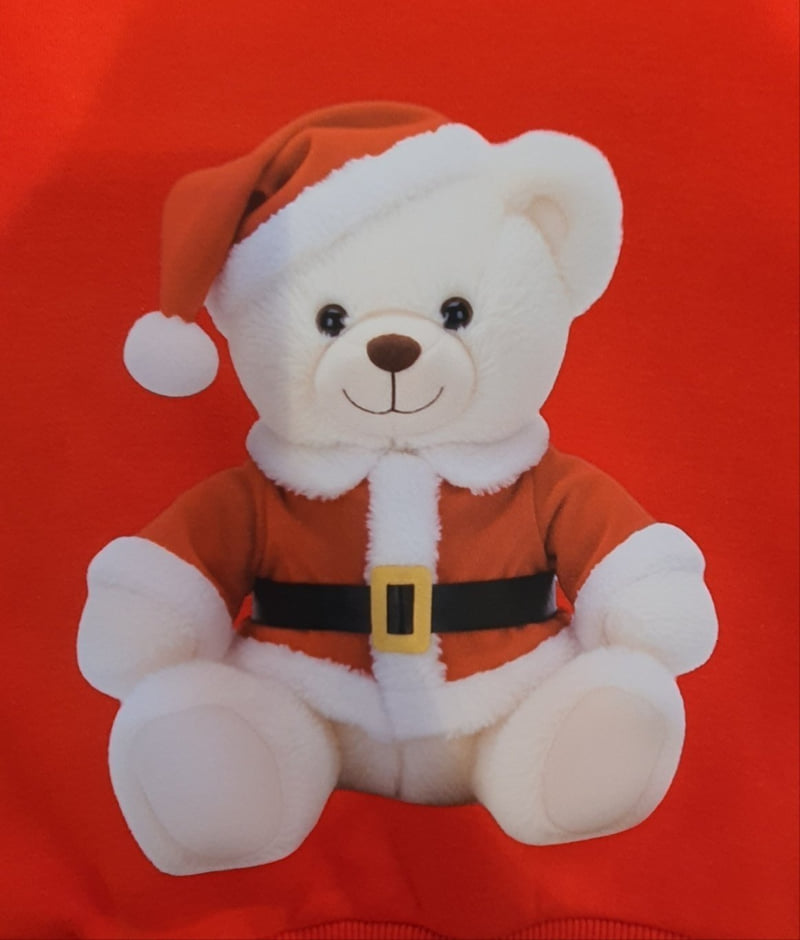 Little Rabbit - Korean Children Fashion - #childrensboutique - Fleece Rudol Bear Set - 12