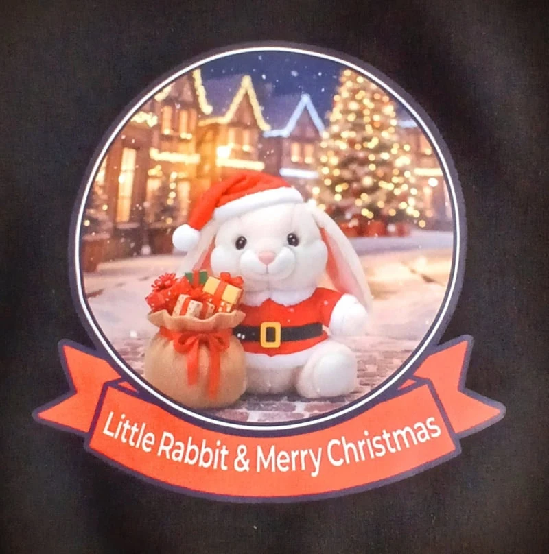 Little Rabbit - Korean Children Fashion - #childrensboutique - Fleece Rabbit Santa Set - 11