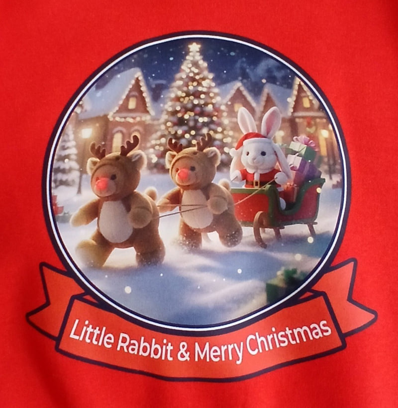 Little Rabbit - Korean Children Fashion - #designkidswear - Fleece Rabbit Santa Set - 12