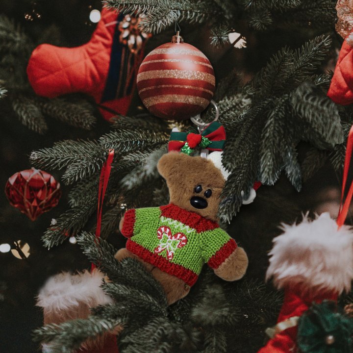 Newerly - Korean Women Fashion - #restrostyle - Christmas Crooked Bear Keyring - 2