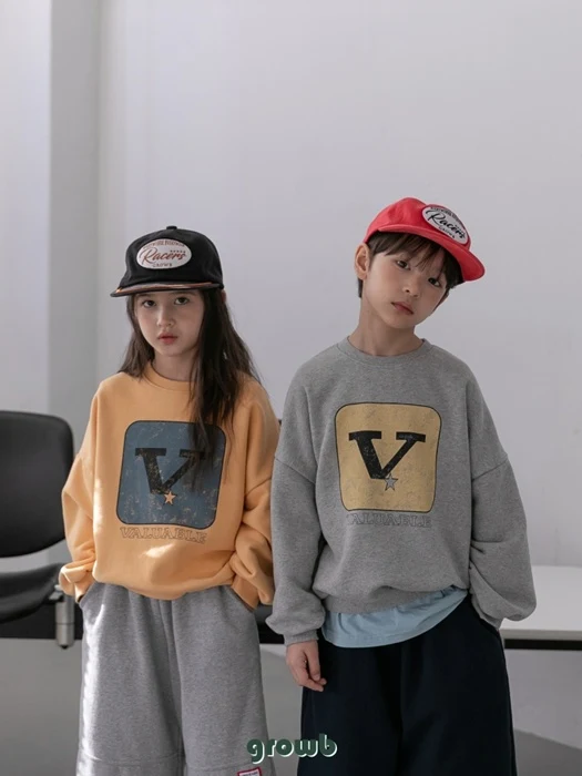 V Sweatshirt V Sweatshirt