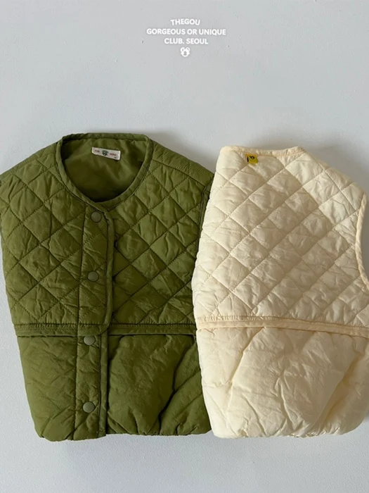 Divide Vest