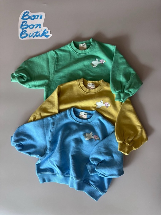 Color Sweatshirt