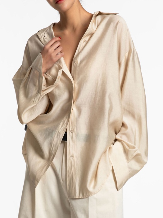 Sheer Silky Classic Button Down Shirt Sheer Silky Classic Button Down Shirt