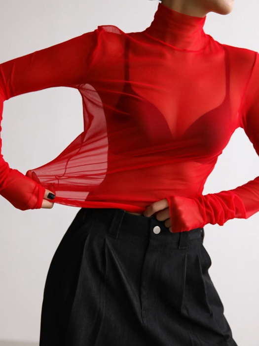 Mesh Sheer Turtleneck Long Sleeved Tee Mesh Sheer Turtleneck Long Sleeved Tee