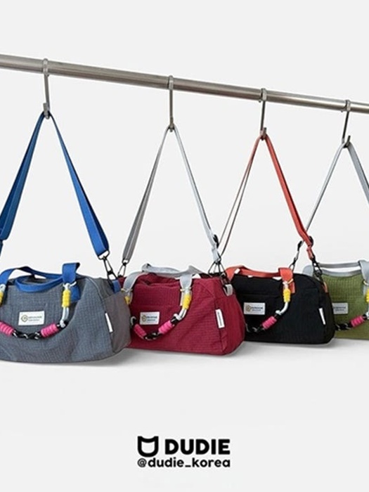 Puppy Door Crossbody Bag