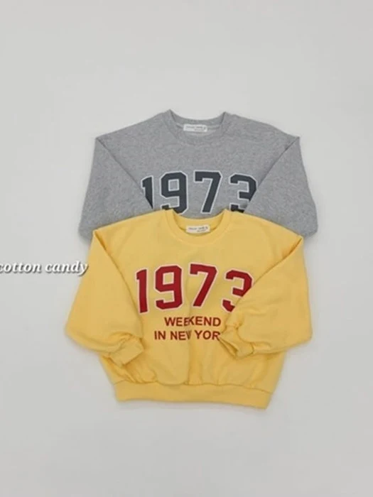 1973 Sweatshirt 1973 Sweatshirt