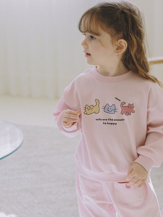 Mini Cat Set Mini Cat Set