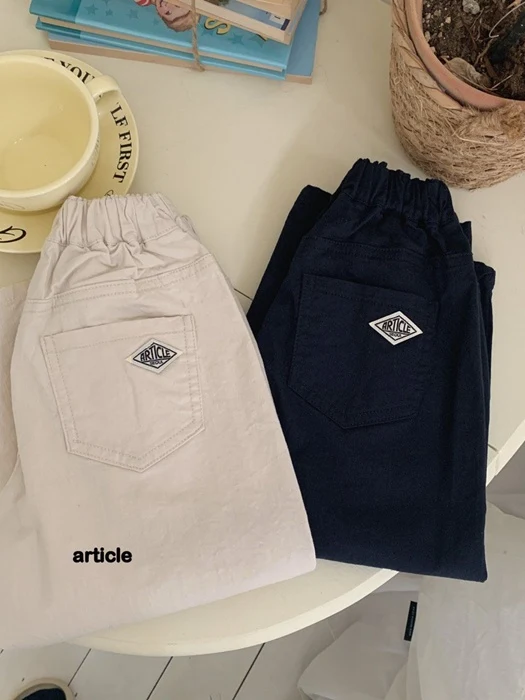 Muir Pleated Pants Muir Pleated Pants