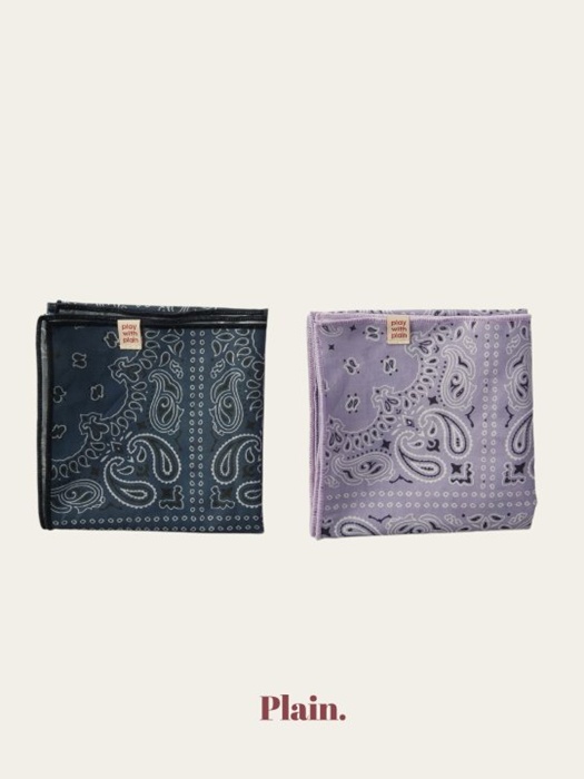 Paisley Bandana Paisley Bandana