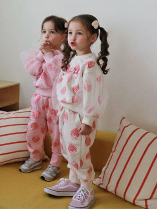 Strawberry Set Strawberry Set