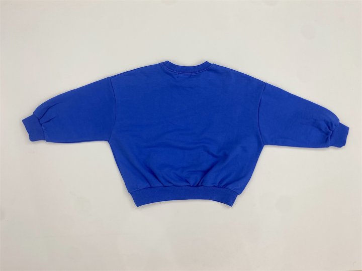 Erin J - Korean Children Fashion - #toddlerclothing - Champion Sweatshirt - 6