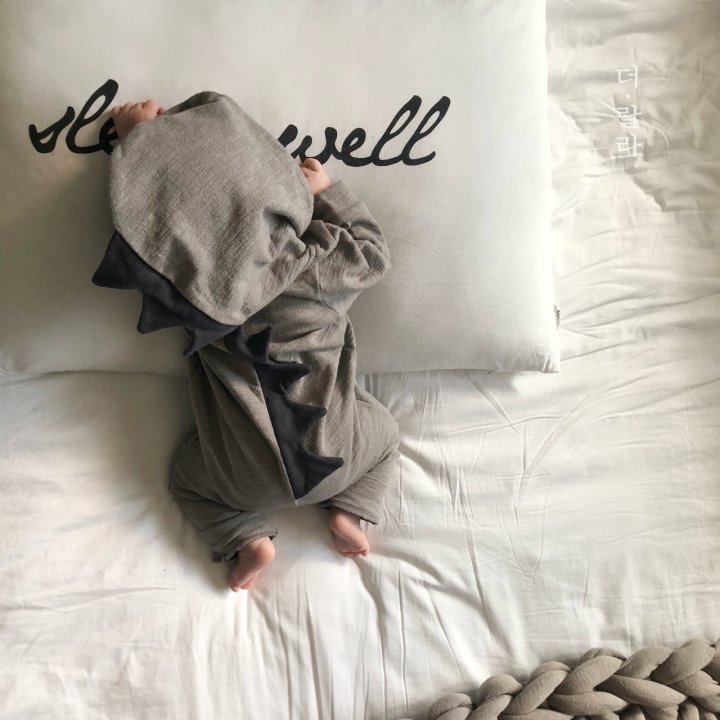 Lala - Korean Baby Fashion - #babywear - Tyranno Suit - 4