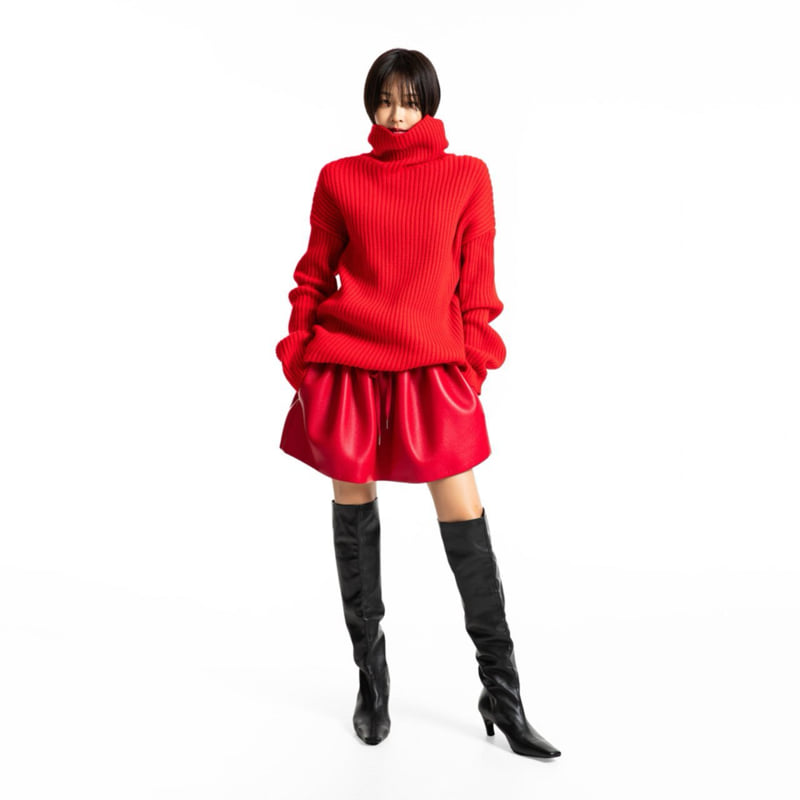 Paper Moon - Korean Women Fashion - #momslook - Turtleneck Ribbed Knit Mini Dress - 9