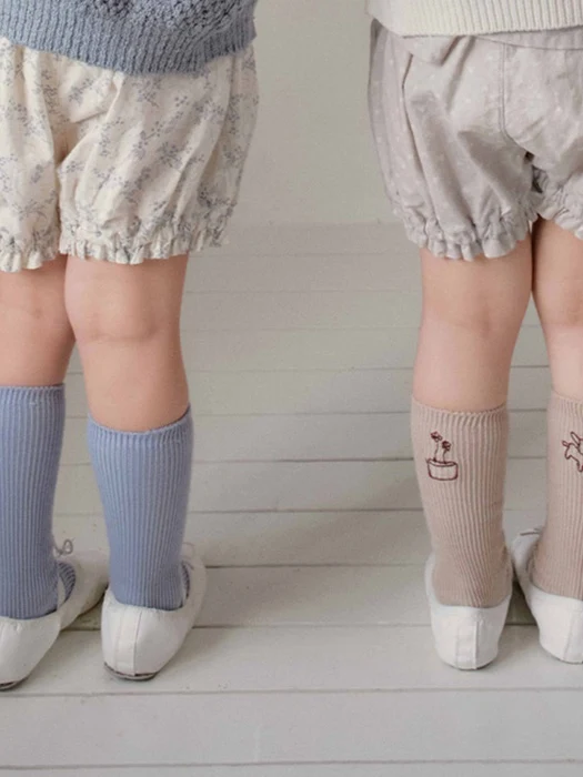 Daily Socks Set