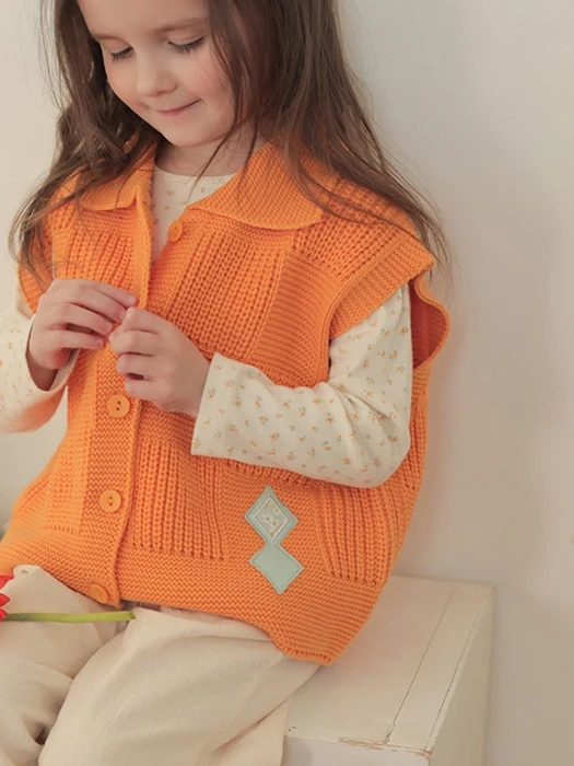 Fren Knit Vest