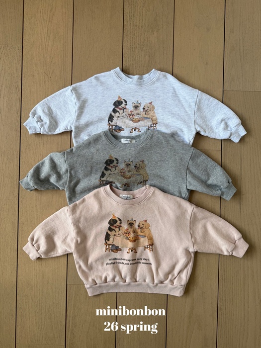 Little Party Sweatshirt (Adult)