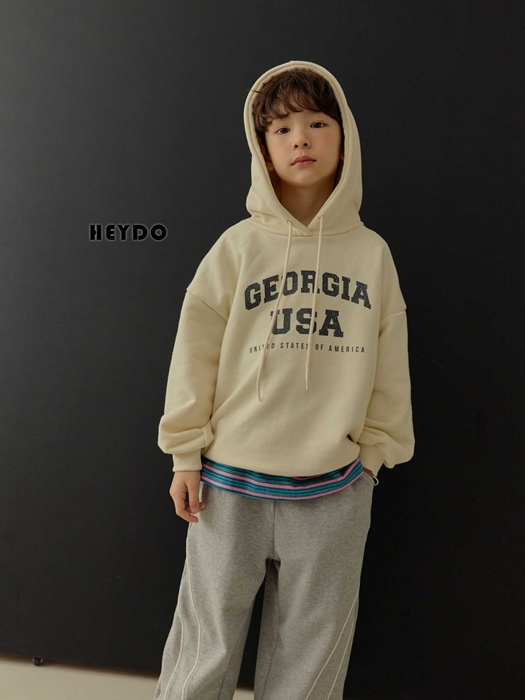 USA Hoodie