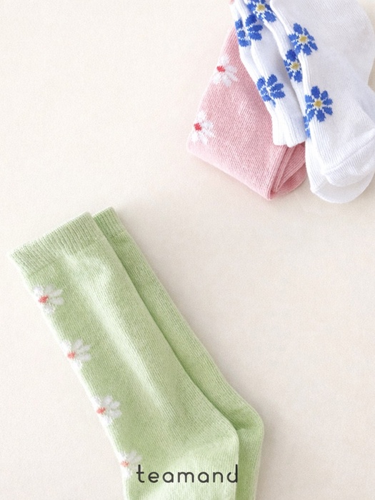 Alice Knee Socks Set Alice Knee Socks Set