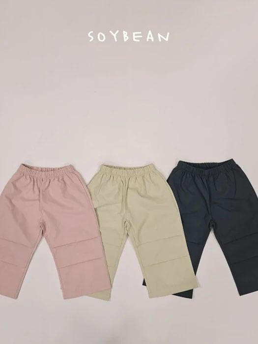 Double Dart Pants