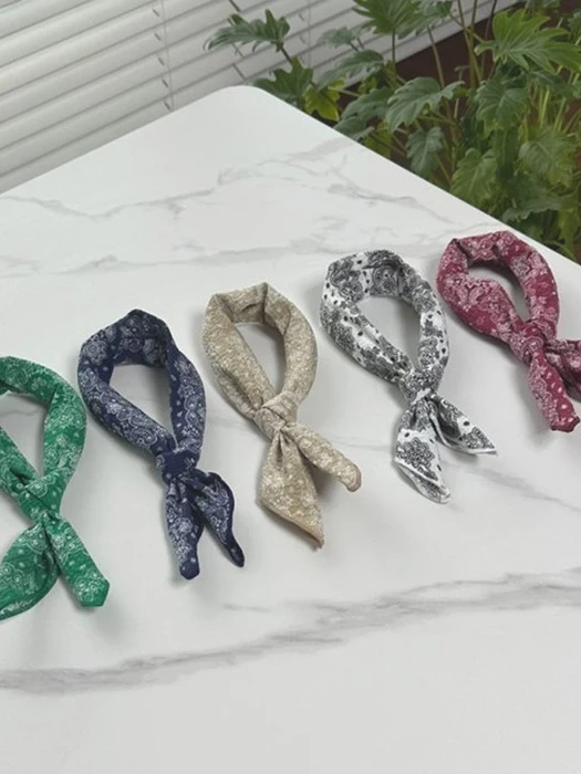 Paisley Scarf Paisley Scarf