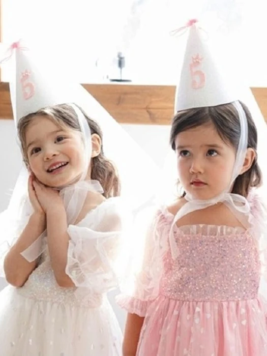 Birthday Veil Party Hat