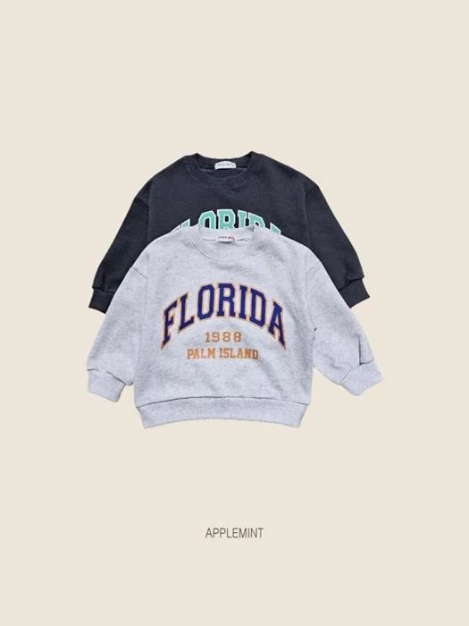 Florida Sweatshirt Florida Sweatshirt