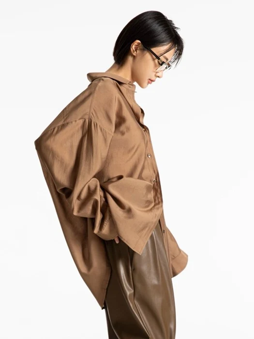 Sheer Silky Classic Button Down Shirt Sheer Silky Classic Button Down Shirt
