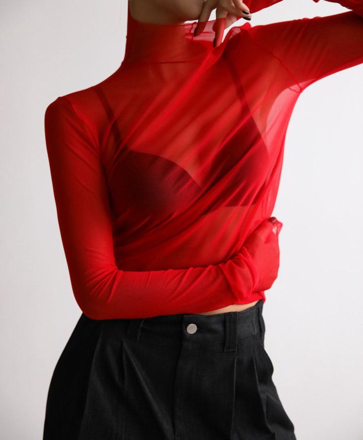 Paper Moon - Korean Women Fashion - #momslook - Mesh Sheer Turtleneck Long Sleeves Tee - 3