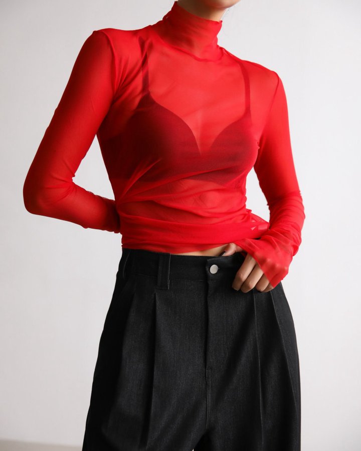 Paper Moon - Korean Women Fashion - #momslook - Mesh Sheer Turtleneck Long Sleeves Tee - 4