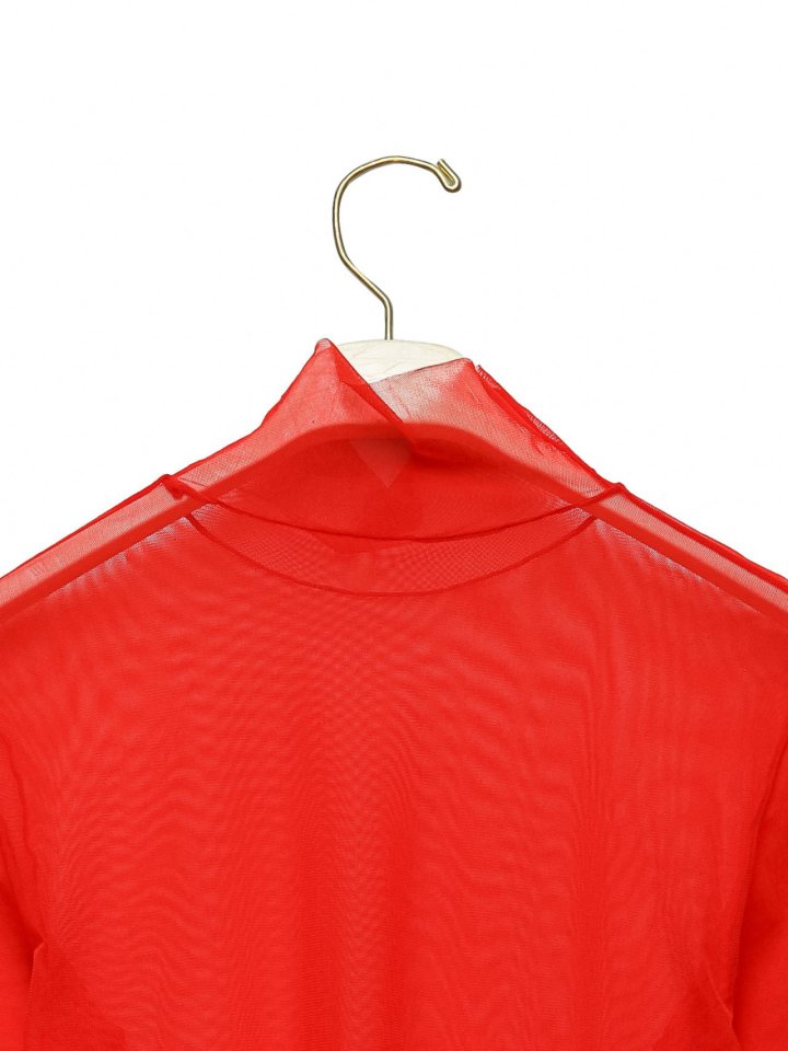 Paper Moon - Korean Women Fashion - #romanticstyle - Mesh Sheer Turtleneck Long Sleeves Tee - 11